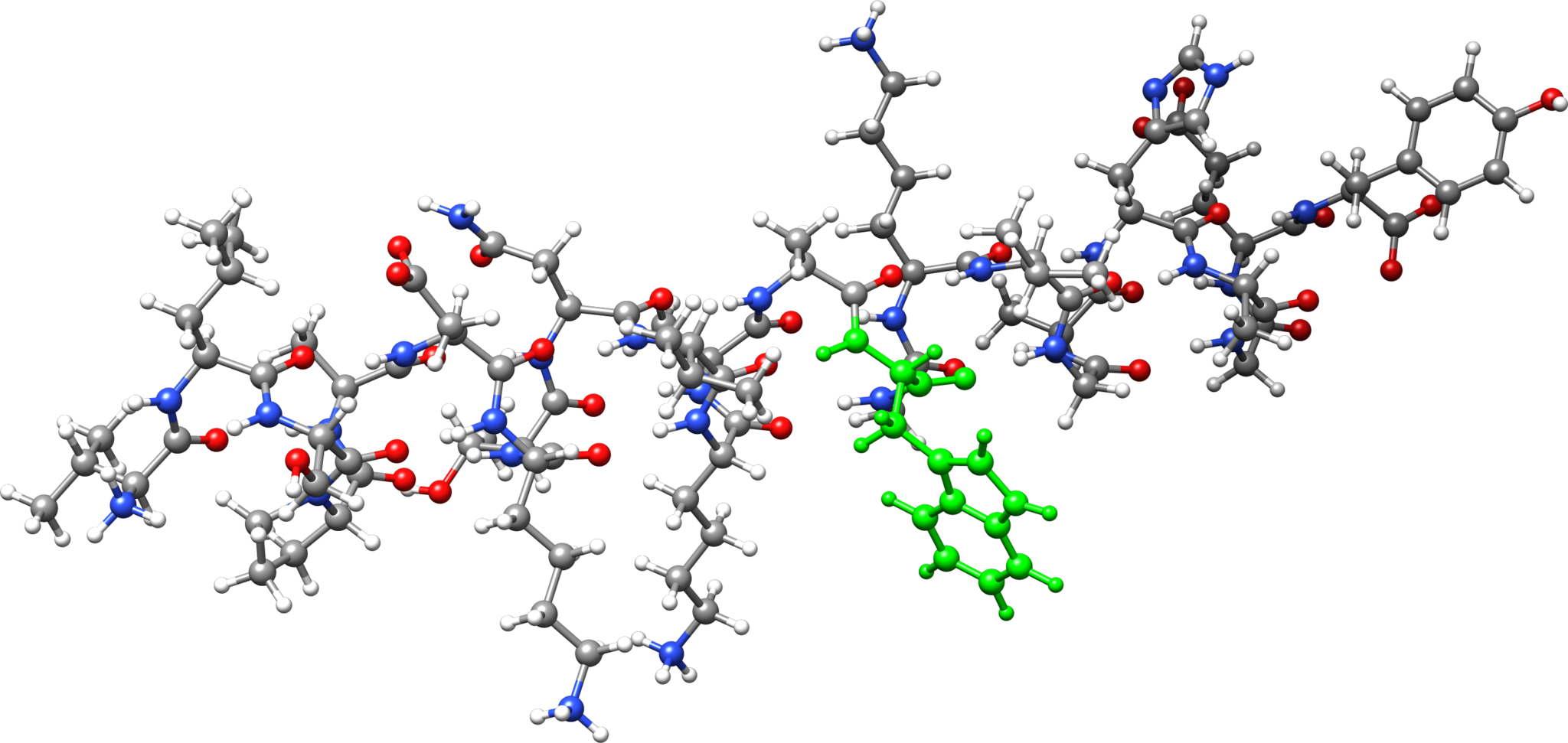 Белок высокомолекулярное соединение. Белки молекула химическое строение. Аминокислоты в молекуле белка. Структура молекулы белка формула. Аминокислоты структурные молекулы белка.