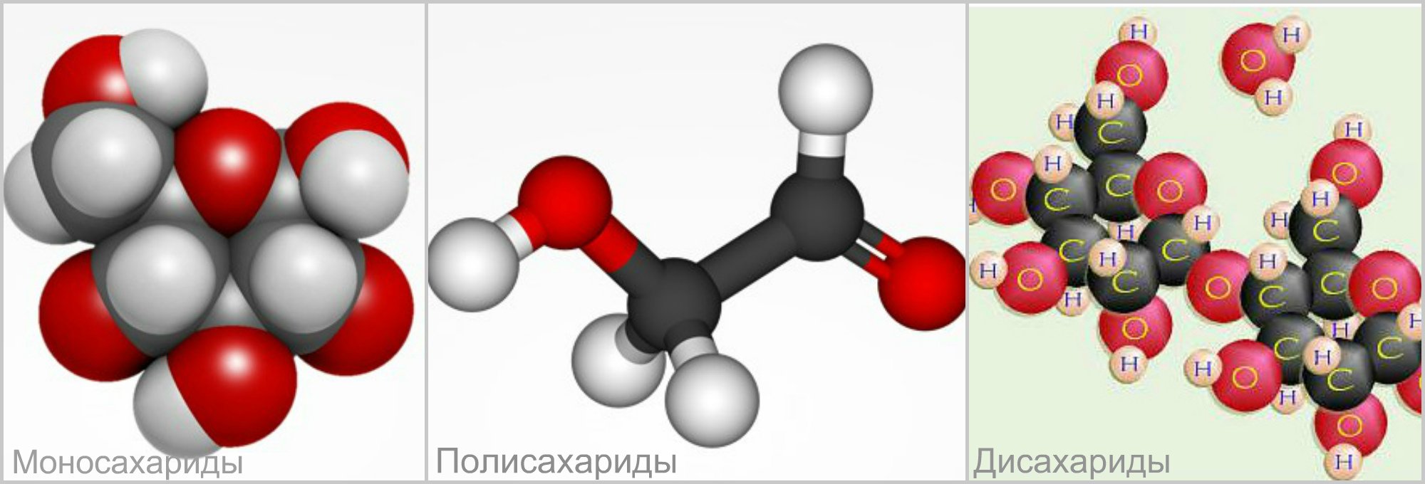 Молекула углевода. Классификация углеводов. Сложные углеводы молекула. Молекула углевода картинка.