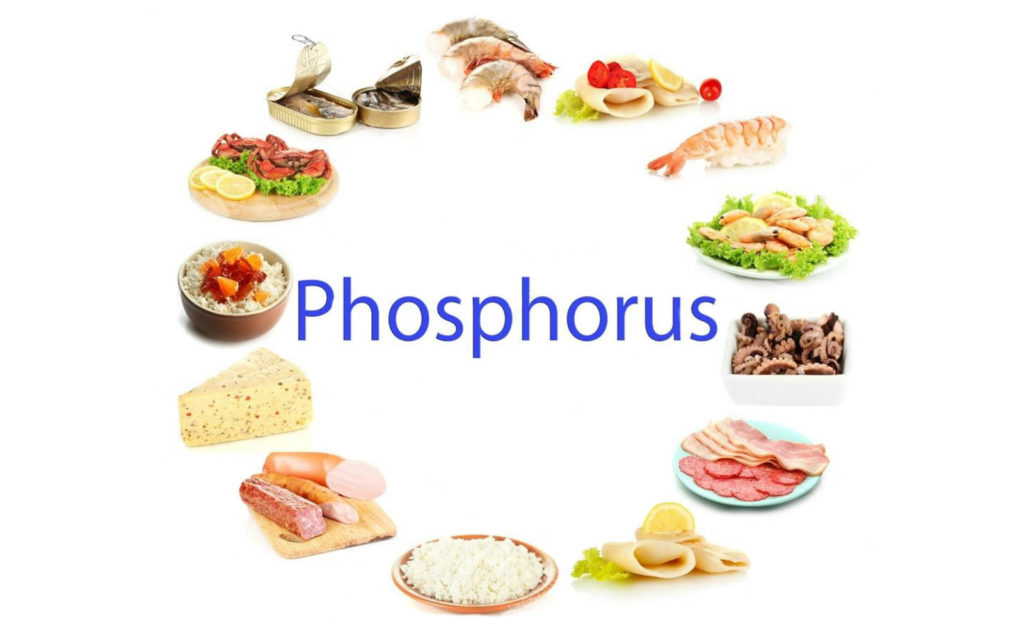 Суточная норма фосфора