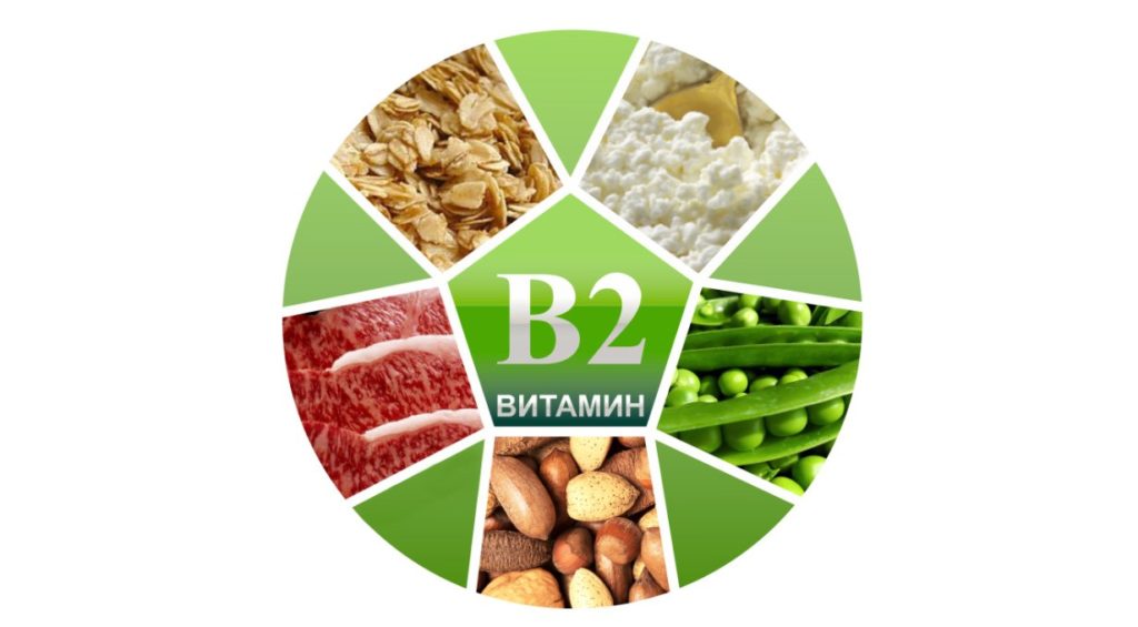 Роль витамина B2 в организме человека
