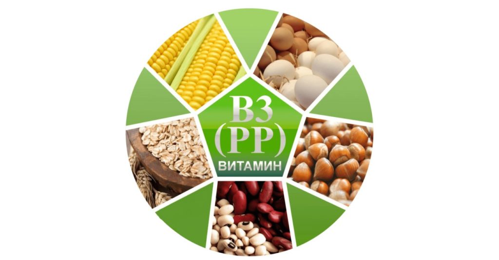 Роль витамина PP в организме человека