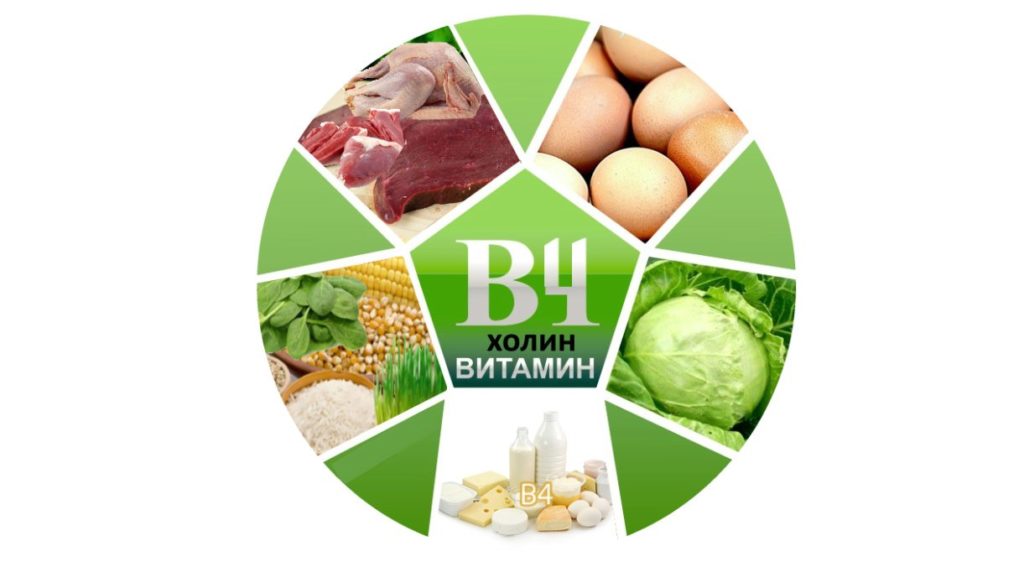 Полезные свойства витамина B4
