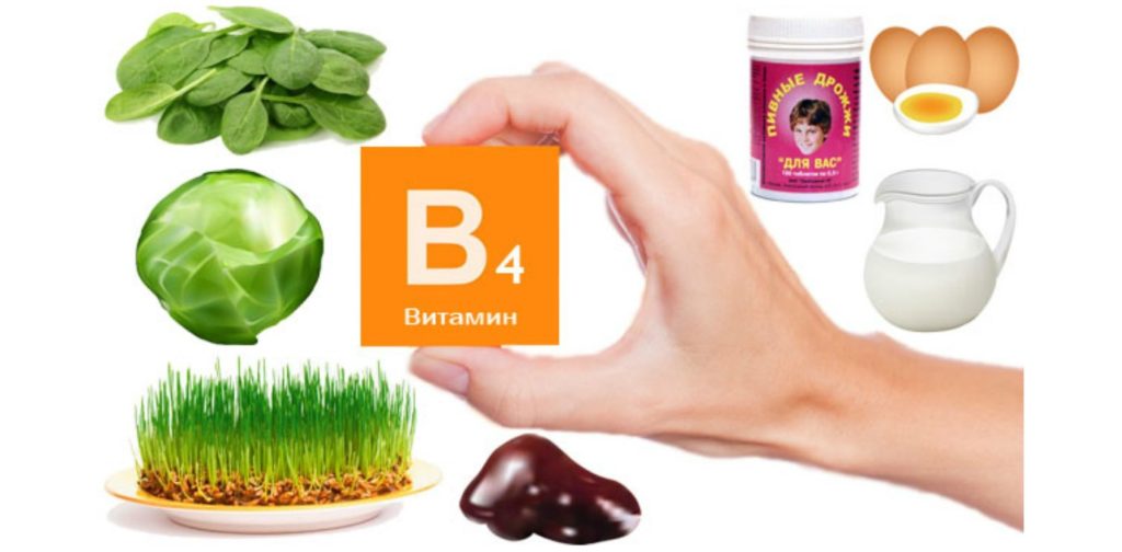 Суточная норма витамина B4