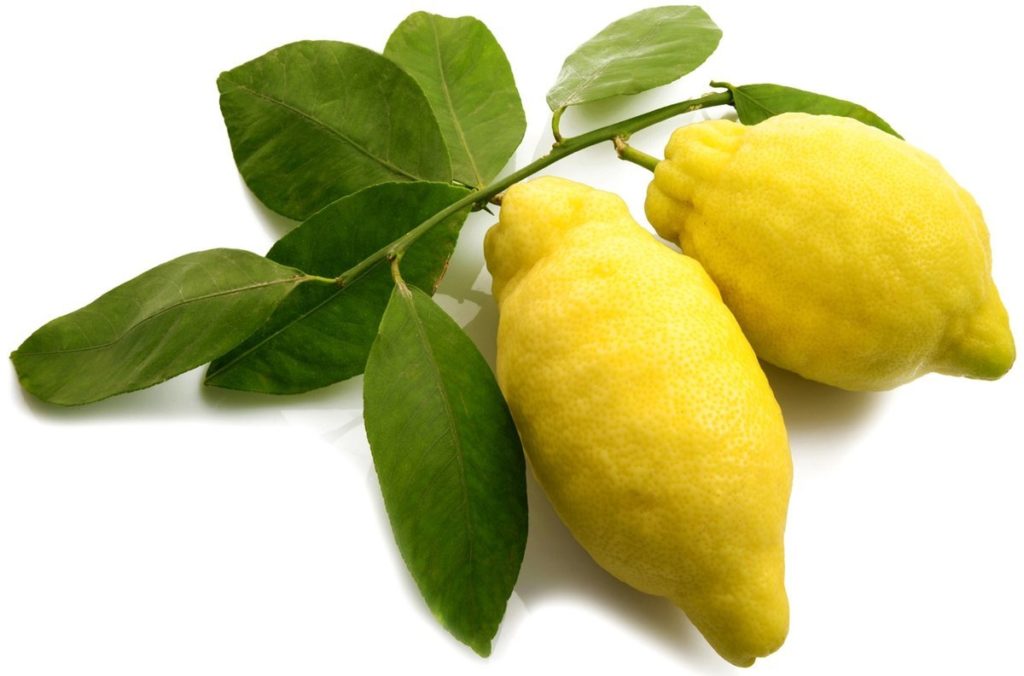 Калорийность лимона