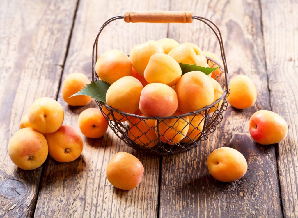 Виды абрикоса