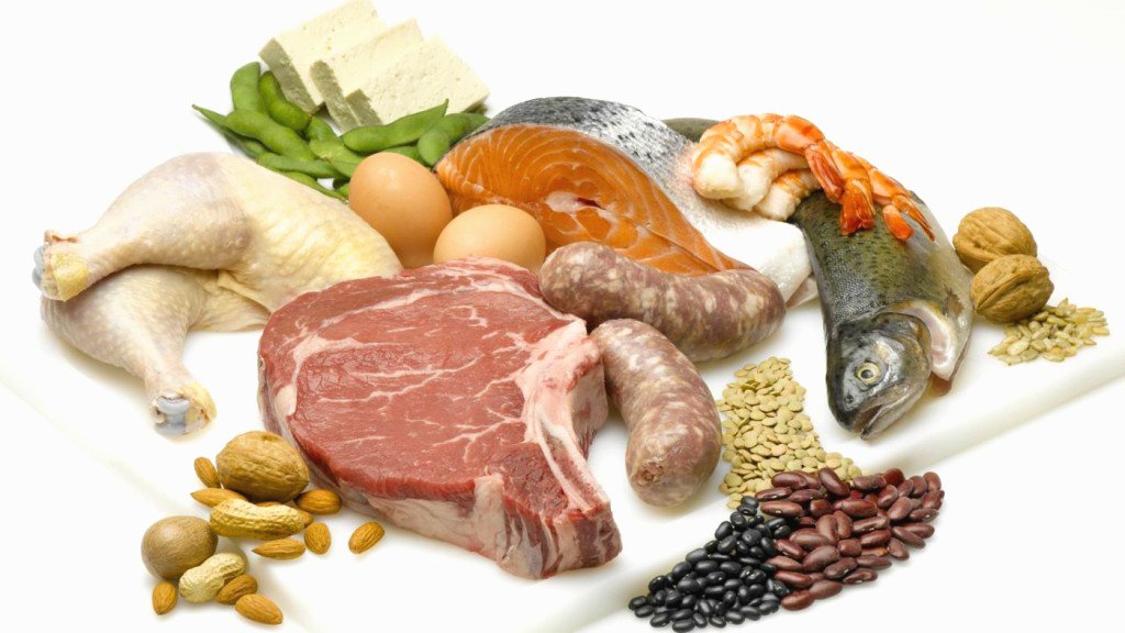 В каких продуктах содержится протеин