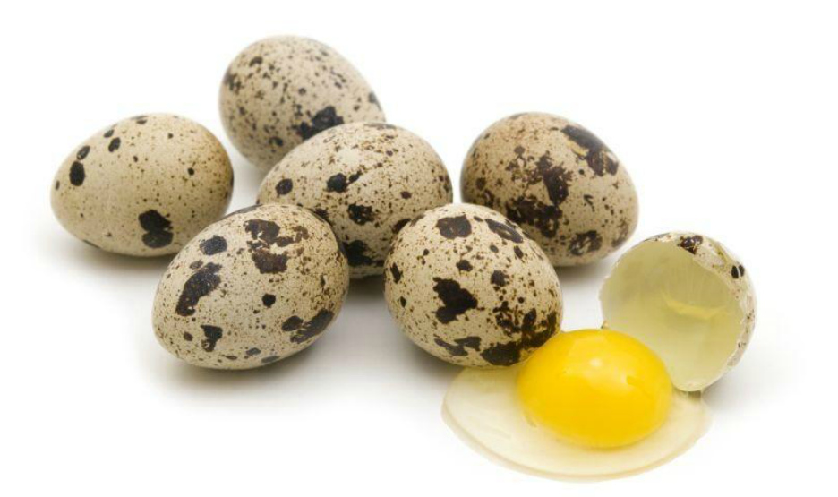 Состав перепелиных яиц
