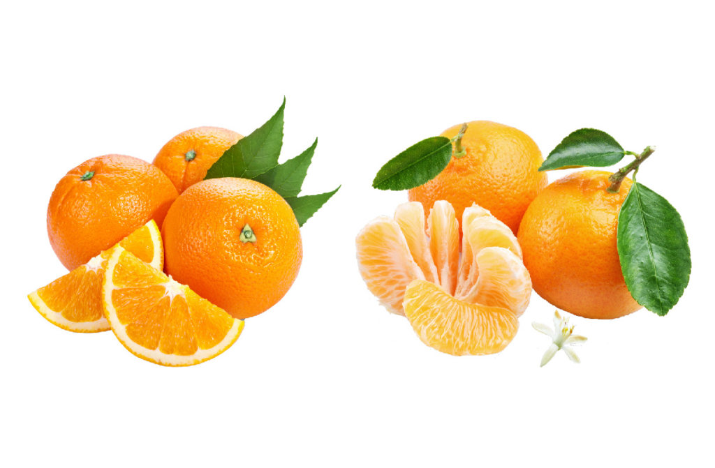 Что полезнее апельсин или мандарин